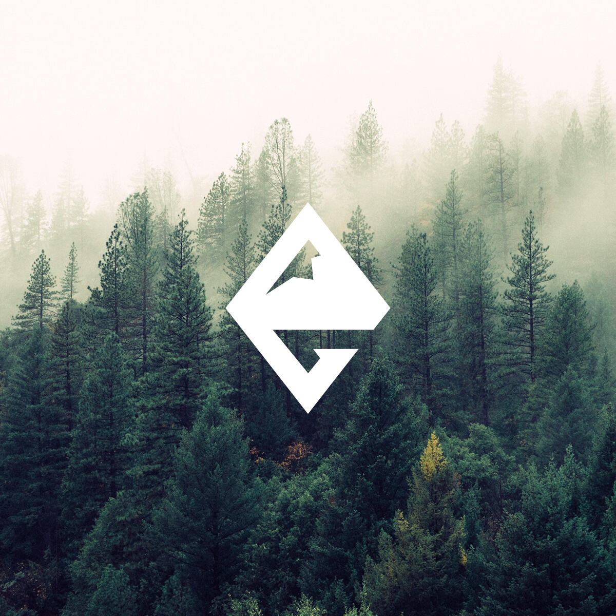 gravitate north east